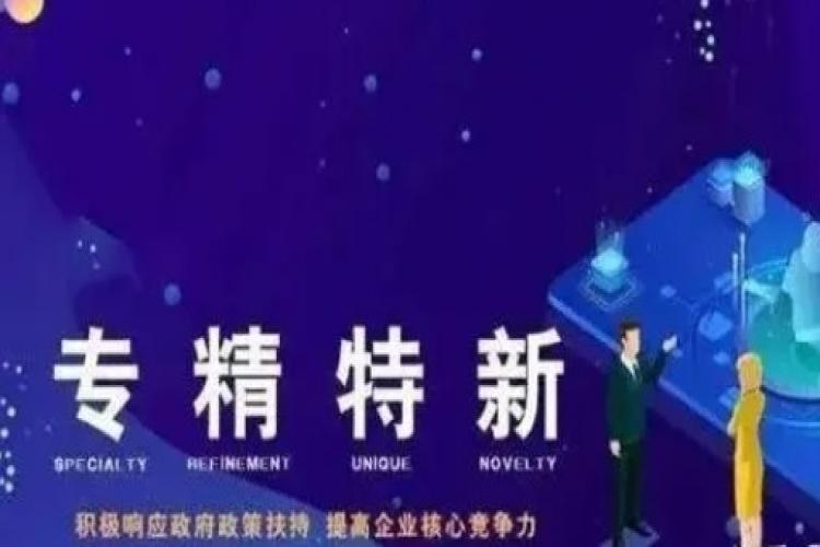 2023年第二批专精特新中小企业入库培育公示