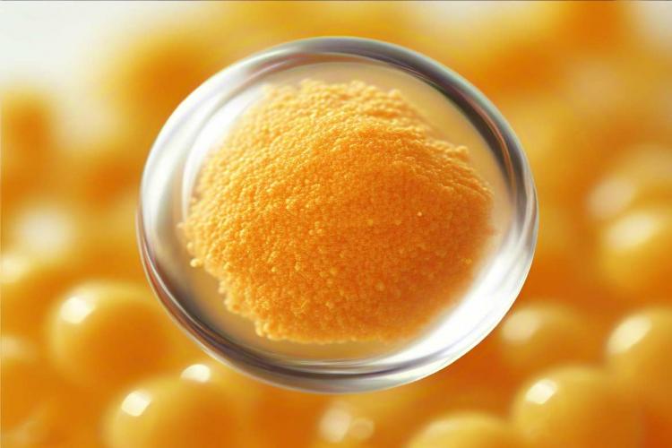 关于“一种负载有脂溶性维生素的桃胶多糖纳米球的制备方法”等1项专利所有权转让的公示