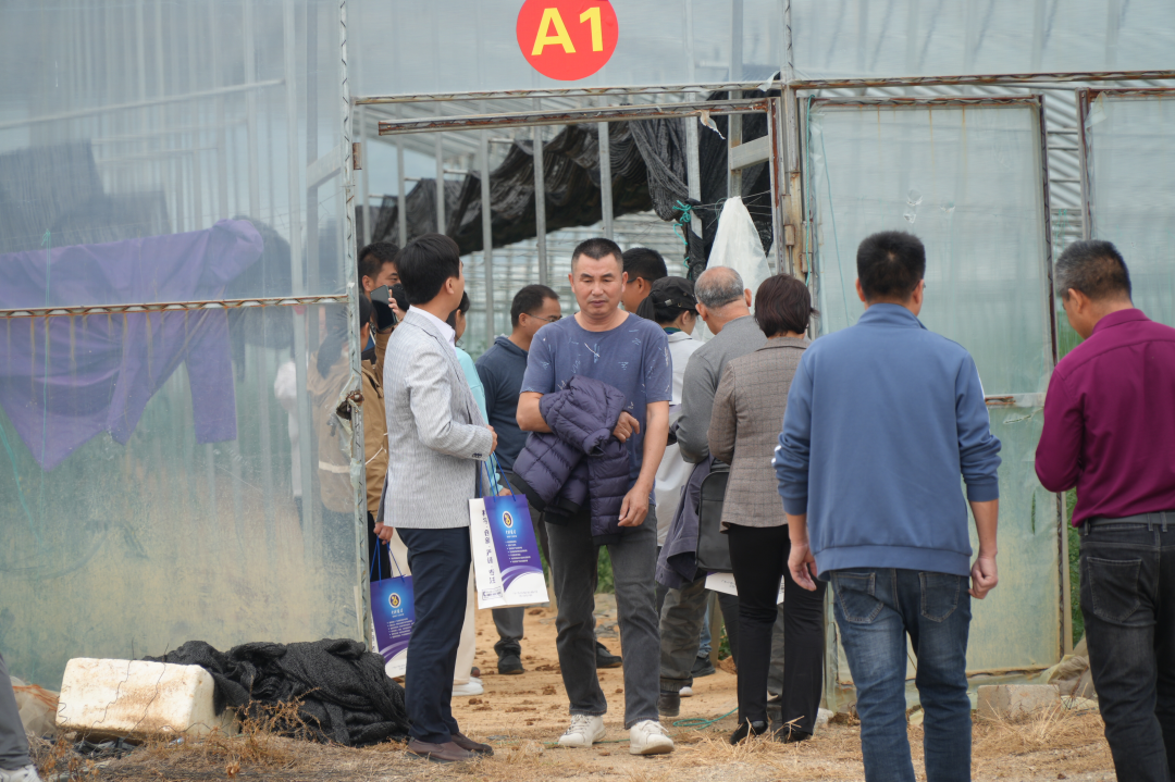 “科技专家八桂行 创新合作开新篇”——科技成果供需对接活动（来宾站）成功举办