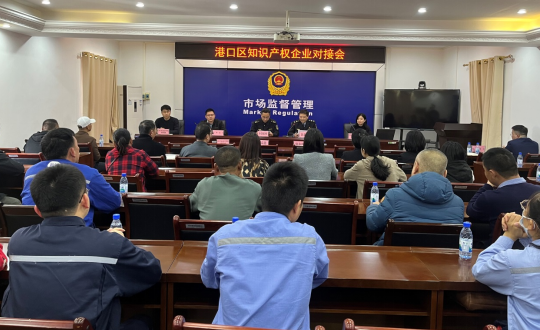 广西“粤桂合作”科技服务业公共服务平台建设项目合作伙伴（防城港市知识产权协会）参与举办港口区知识产权企业对接会